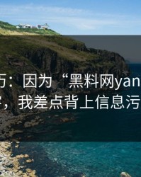 真实经历：因为“黑料网yandex”这四个字，我差点背上信息污染麻烦