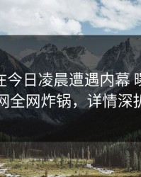 神秘人在今日凌晨遭遇内幕 曝光，91网全网炸锅，详情深扒