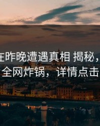 神秘人在昨晚遭遇真相 揭秘，51爆料全网炸锅，详情点击