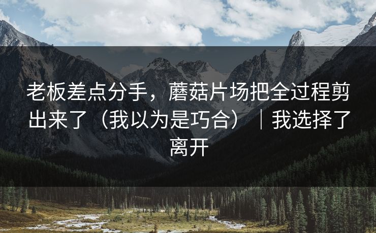 老板差点分手，蘑菇片场把全过程剪出来了（我以为是巧合）｜我选择了离开